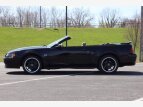 Thumbnail Photo 1 for 2000 Ford Mustang GT Convertible